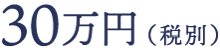 すべて込み 30万円（税別）